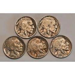Five Full Date Buffalo Nickels with Five Different Dates!